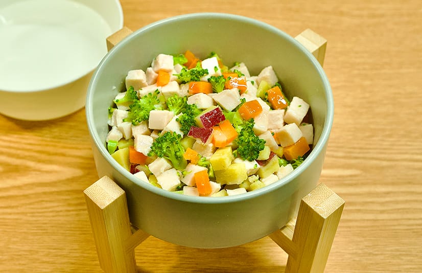 DOG MENU 鶏むね肉と彩り野菜のプレート