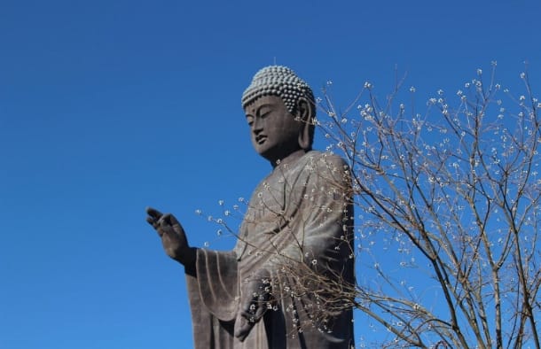 牛久大仏