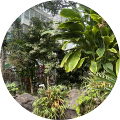 チェックイン＆植物館散策