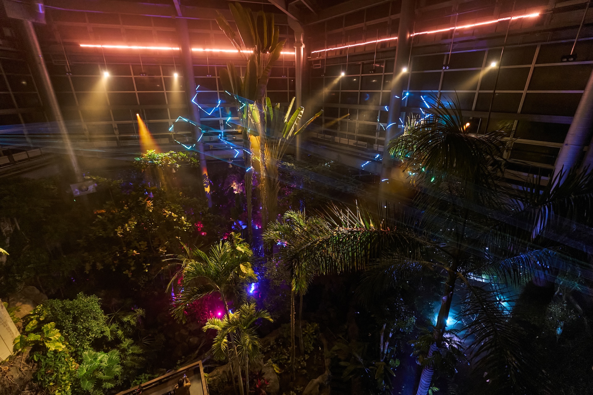 熱帯植物館ライトアップ