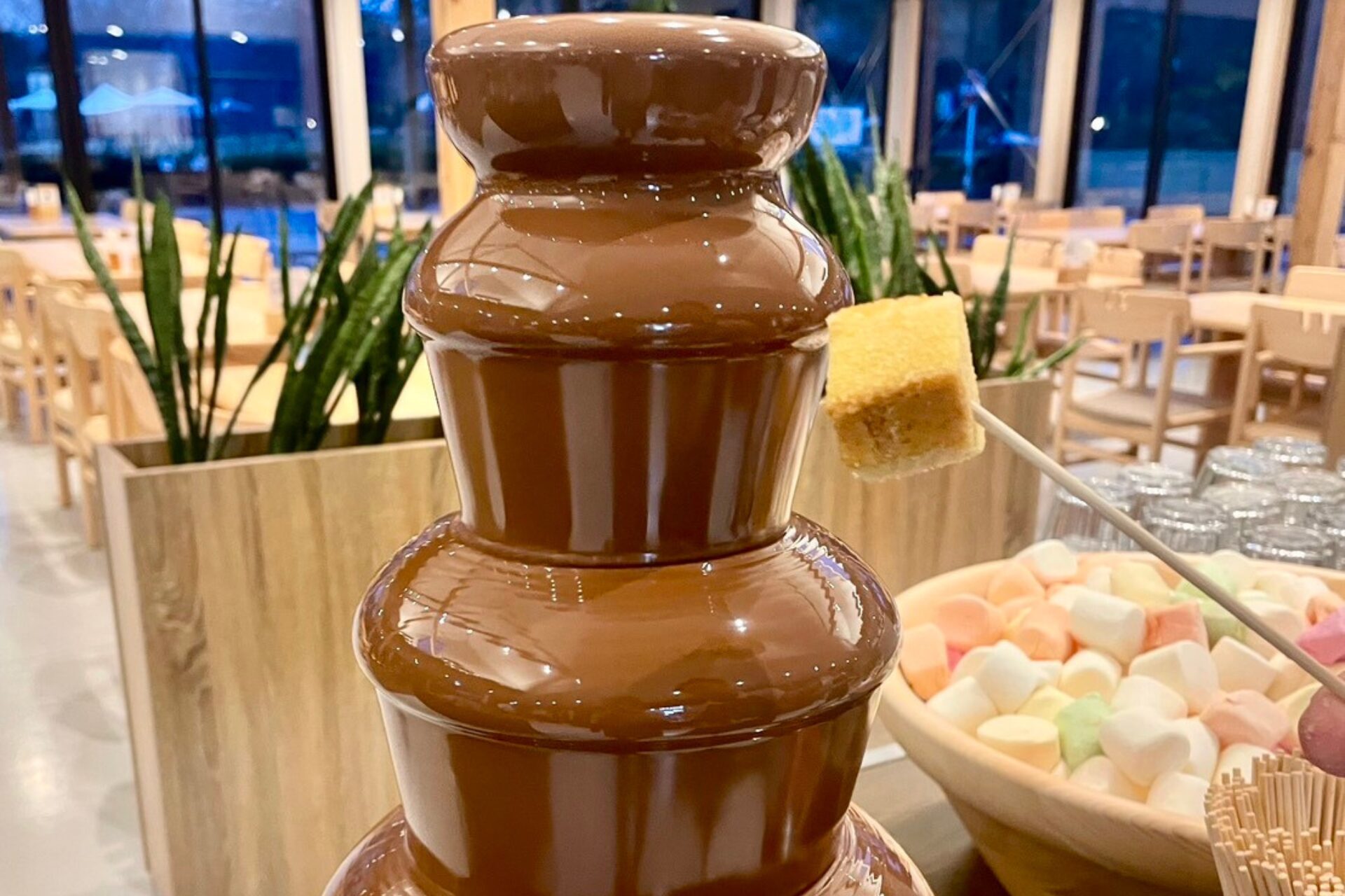 バレンタインデー チョコレートスイーツ