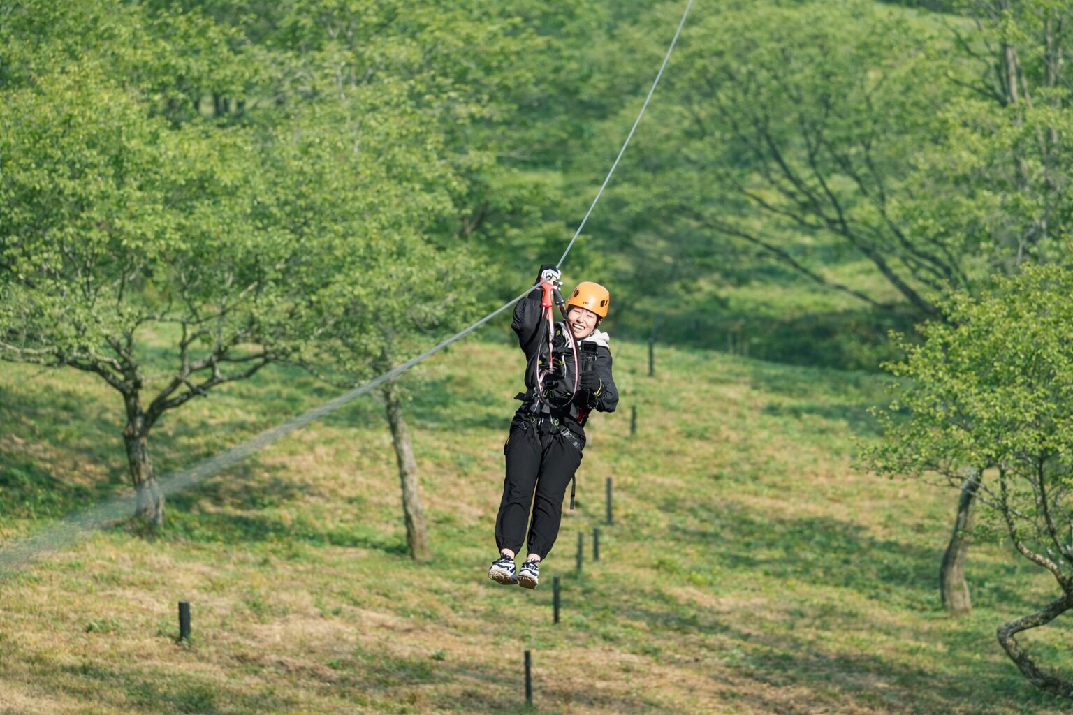ツリーアドベンチャー